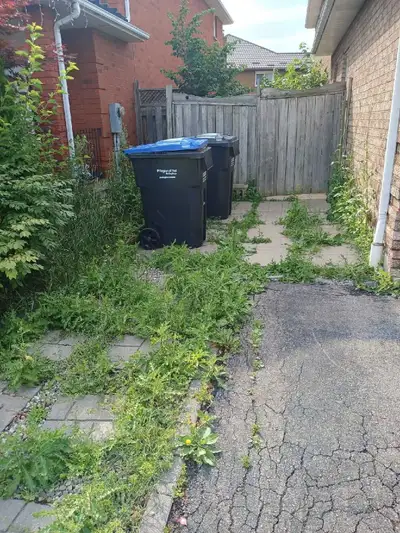 Lawn + Garden + Cleanups , View more