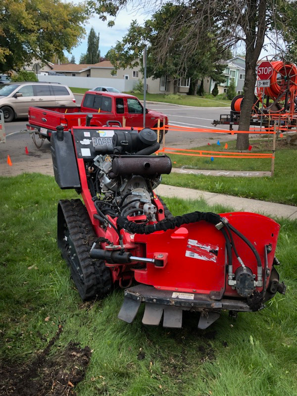 Stump grinding and root removal in Lawn, Tree Maintenance & Eavestrough in Edmonton - Image 4