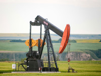 Study on Central AB Oil and Gas Workers - Earn $25