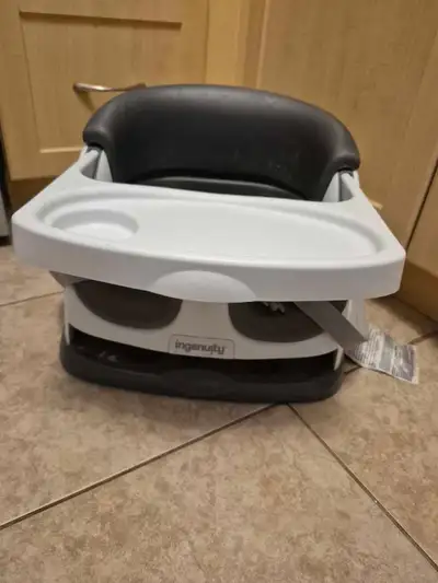Baby booster seat (Ingenuity Baby Base 2-in-1 Seat), View more