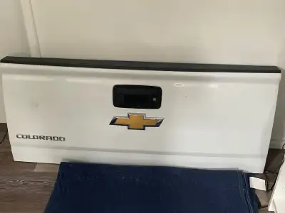 Tailgate EZ lift complete assembly no camera.