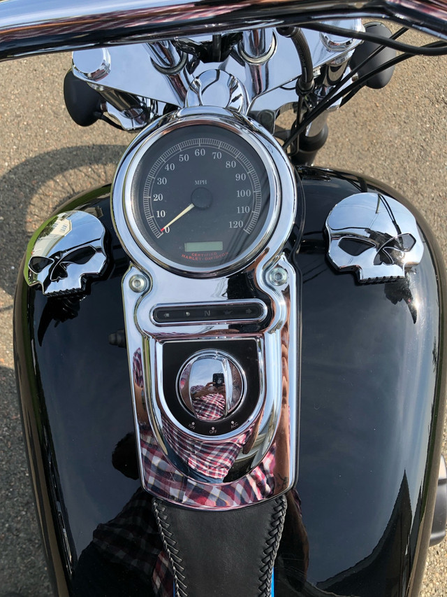 2004 Harley Davidson Dyna Wide Glide REDUCED!!! in Street, Cruisers & Choppers in Moncton - Image 4