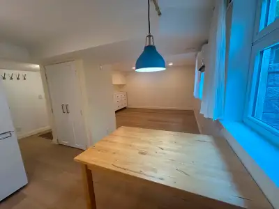 Beautiful + Bright  Bachelor Apart.  St. George's Park downtown!