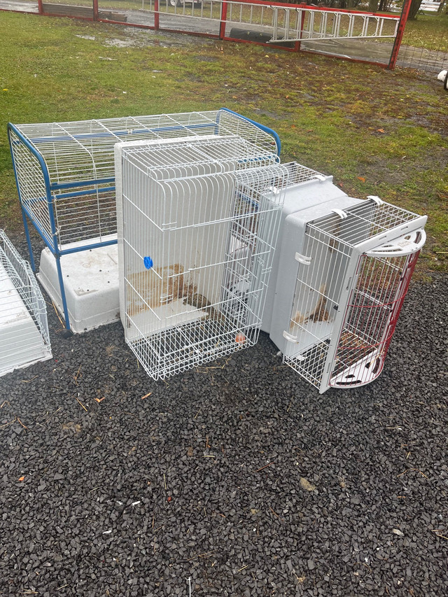 Cages pour petits animaux à vendre dans Autre  à Longueuil/Rive Sud