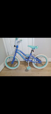 Bicycle 16"