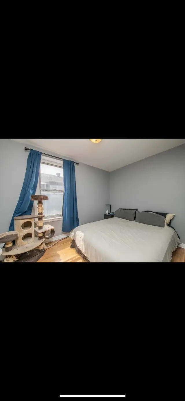 1 bedroom apartment for rent in Long Term Rentals in Ottawa - Image 8