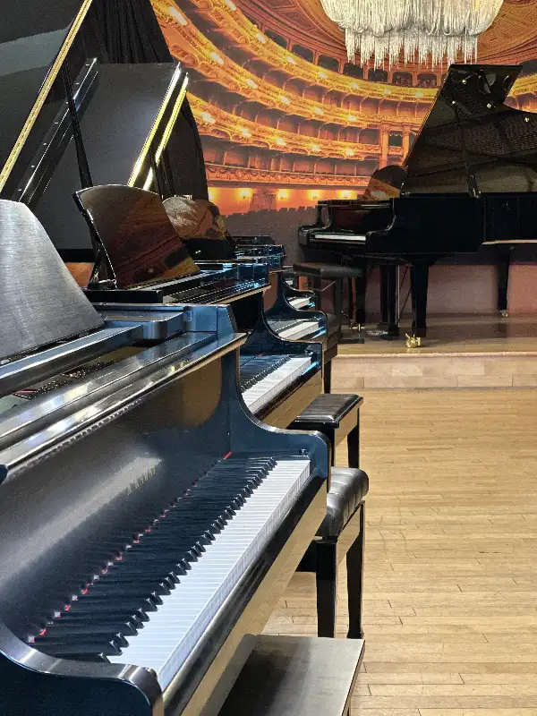 Magnifiques pianos à queue d'occasion certifiés - Piano Vertu in Pianos & Keyboards in City of Montréal - Image 3
