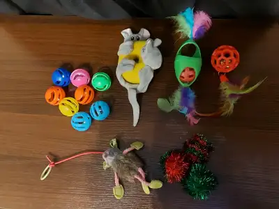 Kitten Toy Bundle #1, View more