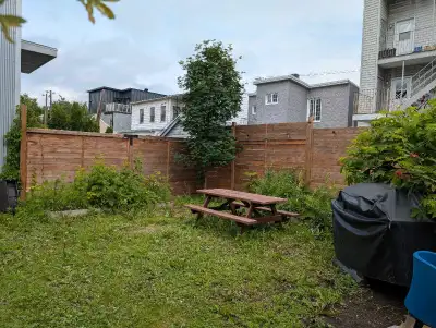 Grand 5 1/2 Saint-Sauveur/Cour/Stationnement et plus inc