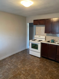 Newly Renovated 1 Bedroom Apartment Walking Distance to Lake