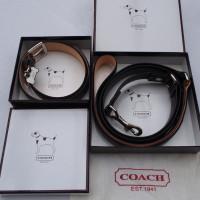 COACH Collar + Leash - NEW - Large Dogs