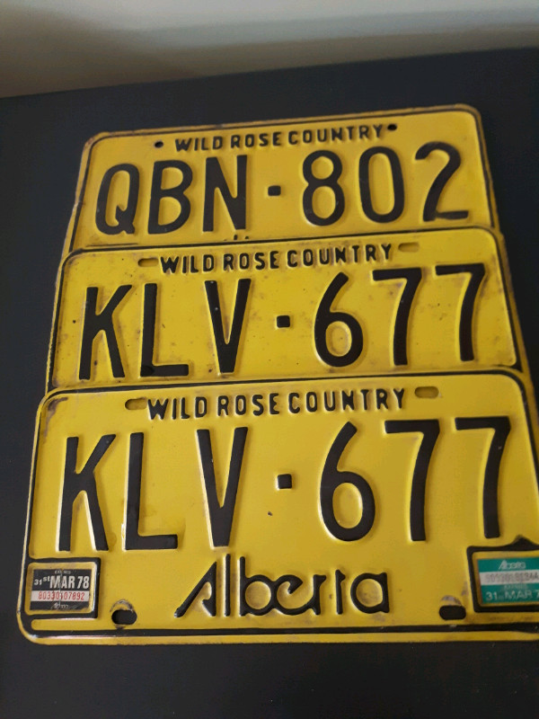 Vintage Vehicle License Plates Sets in Arts & Collectibles in Vernon - Image 4