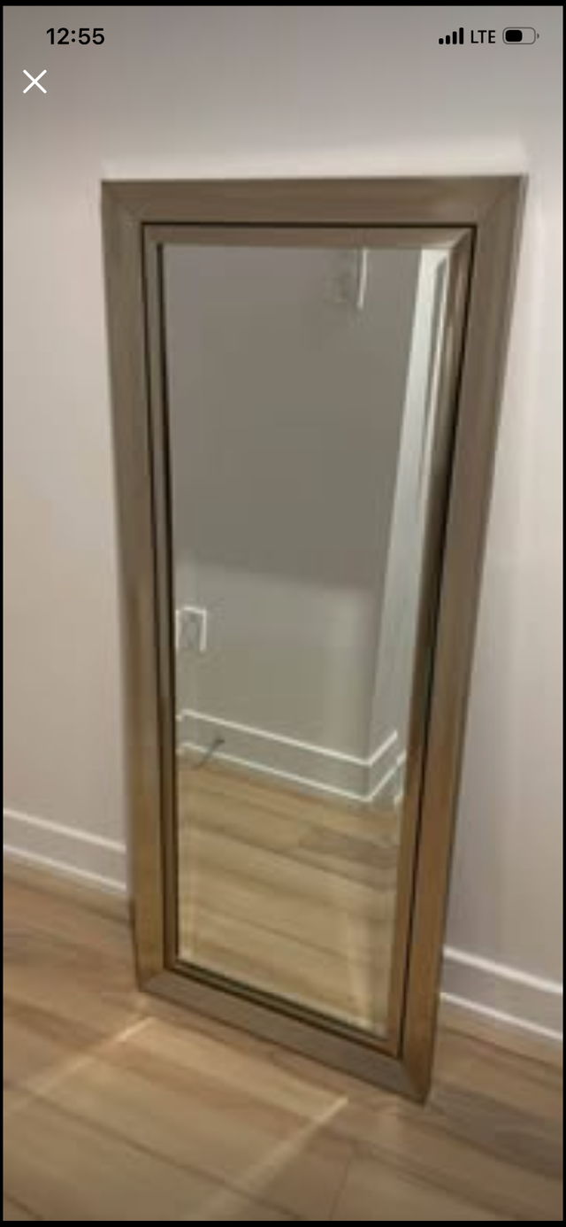 Contemporary Silver Mirror