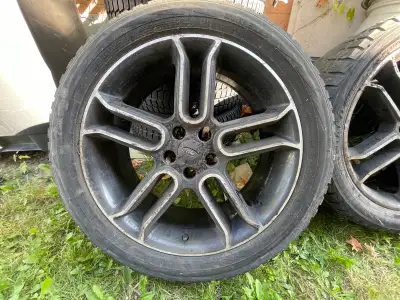 Ford edge expedition flex Lincoln mkx mkt fitment using 5x114.3 bolt patterns. Previously plastidipp...