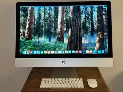 Apple and Windows Computer Systems with Microsoft Office 2026, View more