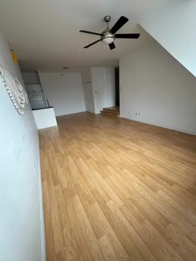 4 ½ DROIT AU CHIEN