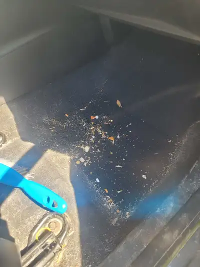 Need your vehicle cleaned without the high detailing shop prices? Clarity Auto Care offers affordabl...