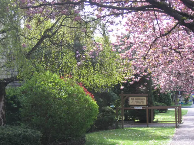 Large One Bed near Marpole Loop Available