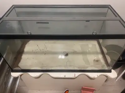 40 gallon terrarium, View more