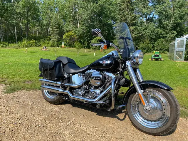 2016 Harley Davidson FATBOY in Street, Cruisers & Choppers in Edmonton - Image 6