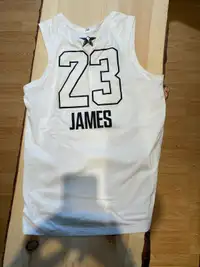 Lebron James jersey