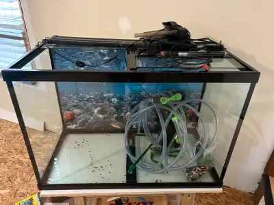 55 g. Aquarium in great condition no seal issues , comes with led light , fish vacume, canister filt...