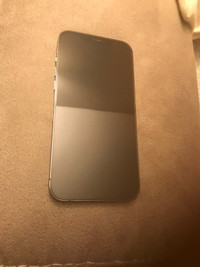IPhone 12 Pro Max for $230