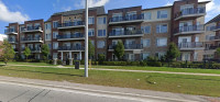 Studio Apartment available for Sublease in Brampton