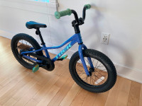 TREK 16” bike for kids