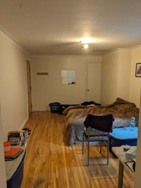 One Bedroom+Den , Semi- Basement , lots of light , McGill Ghetto