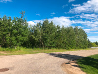 Double Lot on the South East side of Waldheim ~ 112 2nd Street S