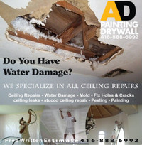 DRYWALL REPAIR MISSISSAUGA, POPCORN CEILING REMOVAL, PAINTING