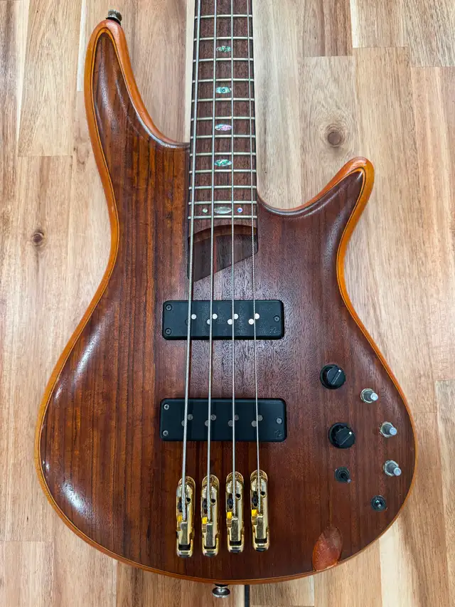 Ibanez SDGR Premium Bass63240734979715121