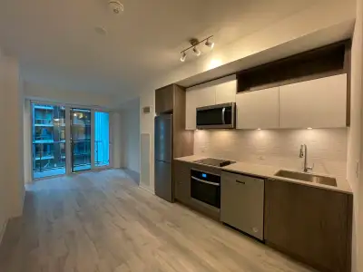 1+1 condo with 2 washroom for rent