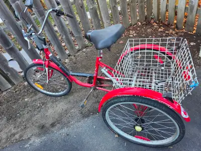 Adult Comfort Trike Adult Comfortable tricycle, 26". Low stand-over. Easy step-through frame. Rear b...