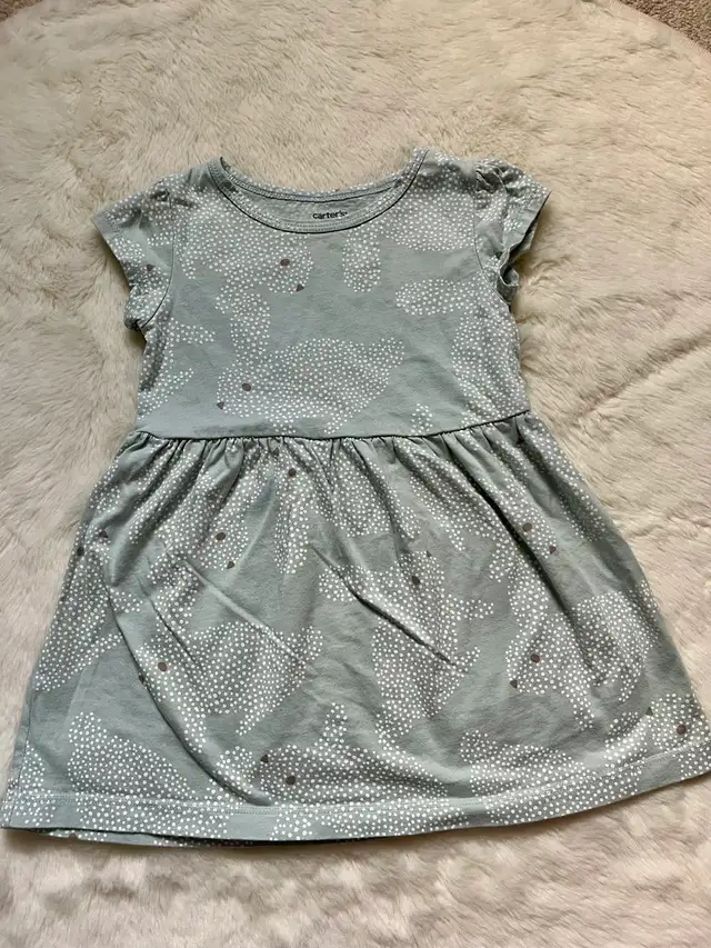 2T Spring/Summer Dresses in Clothing - 2T in Kitchener / Waterloo - Image 4