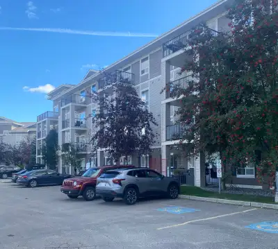 Spacious 2nd floor unit with 2 bedrooms and 2 full baths available now for rent Great location, just...