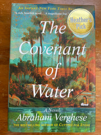 Novel: the covenant of water