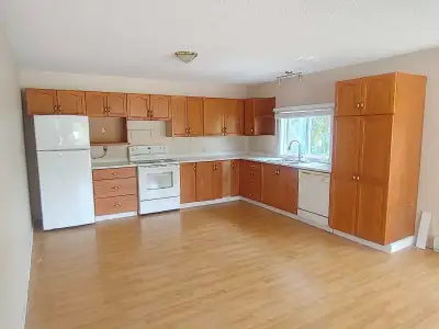 2 Bed room apartment  furnished or unfurnished