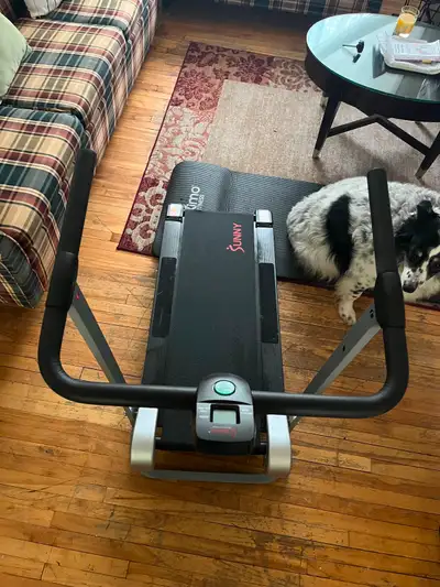 Self-moving treadmill, moves as you walk. Barely used and works great. Folds up. Pickup-only. Text (...