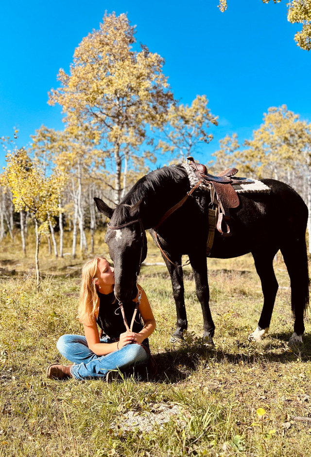 Training/Lessons in Horses & Ponies for Rehoming in Lethbridge