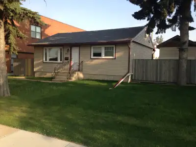 Central Lloydminster Alberta side we have a basement room in a 2 bedroom suite sharing kitchen, bath...