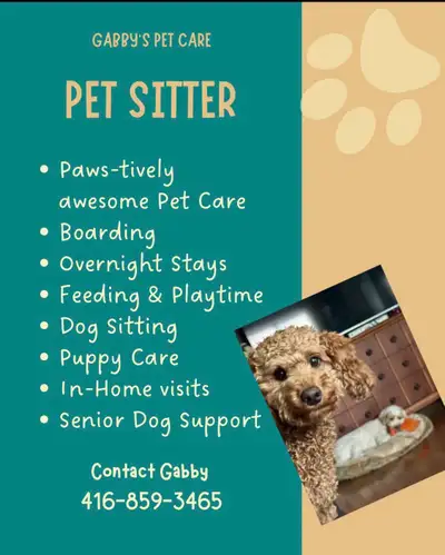 Pet Sitting, View more
