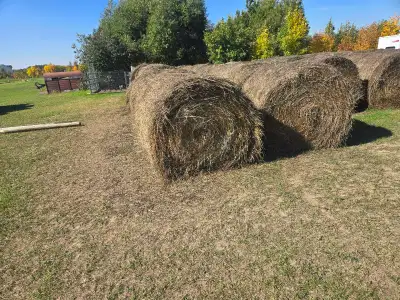2026 Hay Bales. Alfalfa Grass