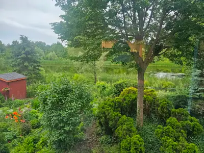 Available June 1st. Great location, enjoy easy access to public transit, University of Guelph, Prese...