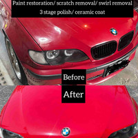 Stage 4 paint restoration 