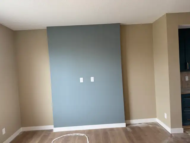 Professional Painter505382055162030080