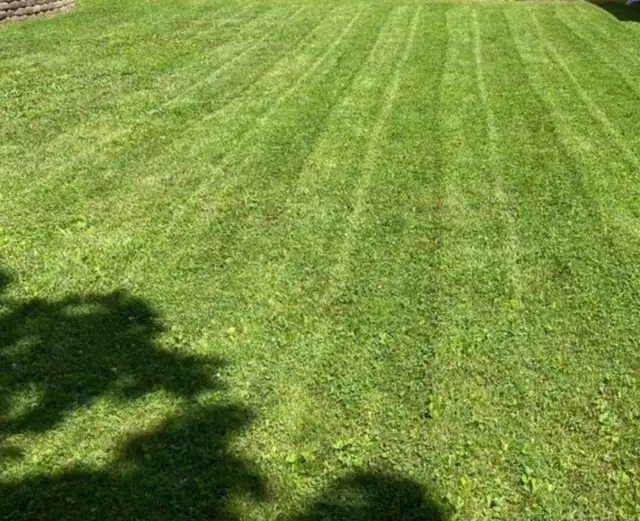 Grass cutting 502662490520954881