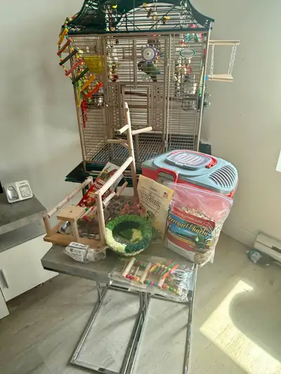 Conure  avec cage et plusieurs accessoires à vendre, View more