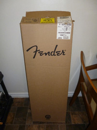 Guitar Shipping Box (Fender Strat)